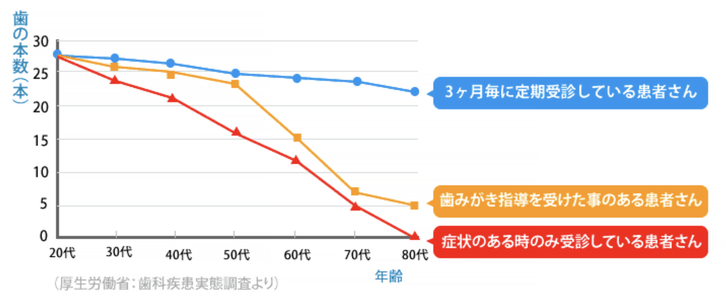 歯周治療の効果は定期健診によって決まる